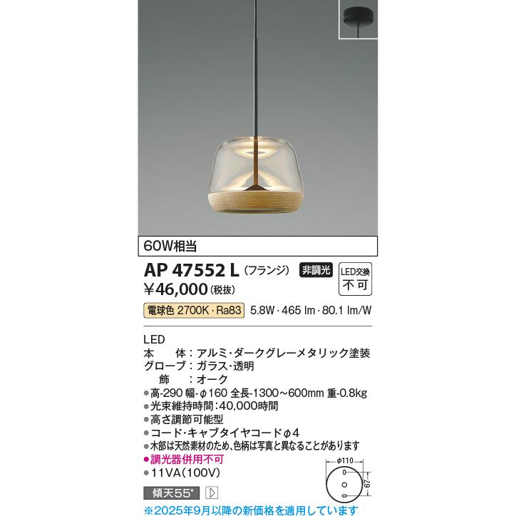 KOIZUMI　LEDペンダント　直付けタイプ　白熱電球６０Ｗ相当　(ランプ付)　電球色　２７００Ｋ　AP47552L_1