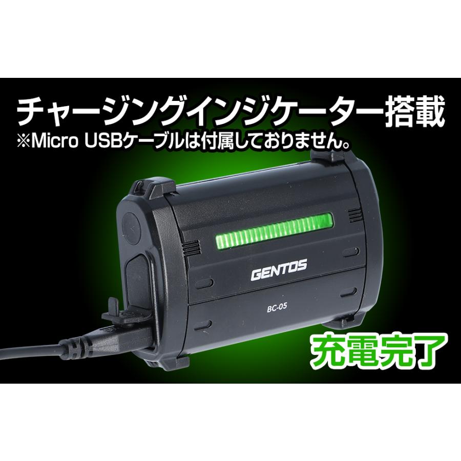 ＧＥＮＴＯＳ　専用電池（GT-05SB)専用充電器　※充電池別売　BC-05｜alllight｜02