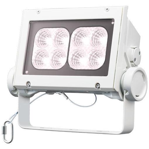 岩崎　レディオック フラッド ネオ LED投光器 80クラス 中角タイプ 白色タイプ ホワイト LED一体形 耐塩塗装　ECF8040M/WSAN8/W ※受注生産品