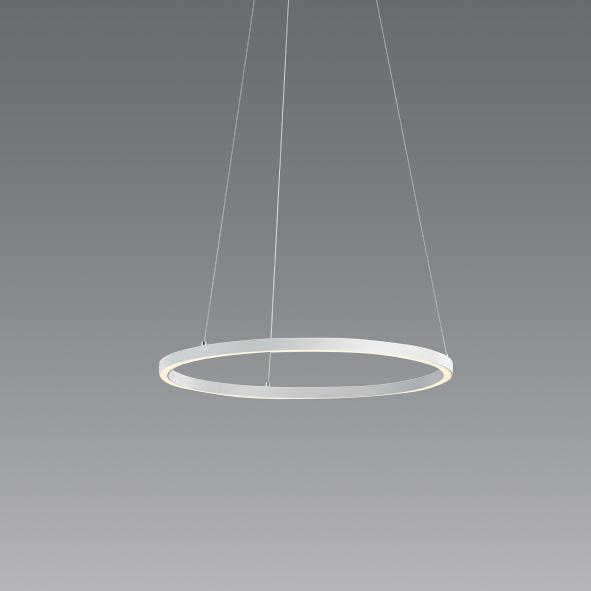 遠藤照明 ENDO LEDペンダント 直付タイプ 3000K 電球色 ERP7397WA