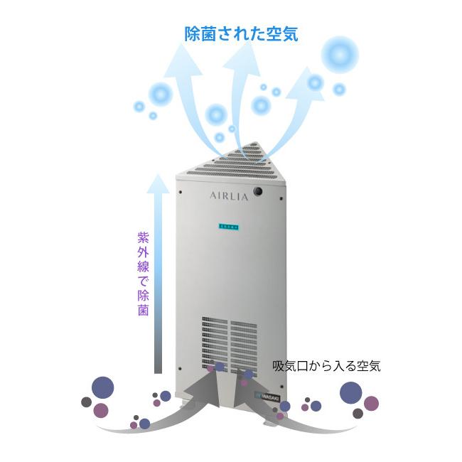 IWASAKI エアーリア デルタGLA1(美品) IWASAKI エアーリア デルタGLA1(美品) 省スペースで紫外線による