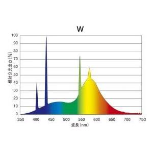 プリンス スーパーライン T6スリム蛍光灯 ランプ長565mm 白色