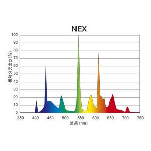 プリンス チルドライン(蛍光灯) T6スリム蛍光灯 ランプ長692mm 4色発光形白色 4600K -5℃〜+10℃用 FLR30T6NEX/MJ5 ※受注生産品の画像