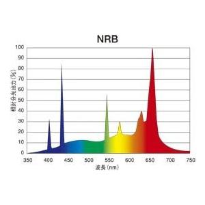 プリンス スーパーライン T6スリム蛍光灯 ランプ長2165mm 温