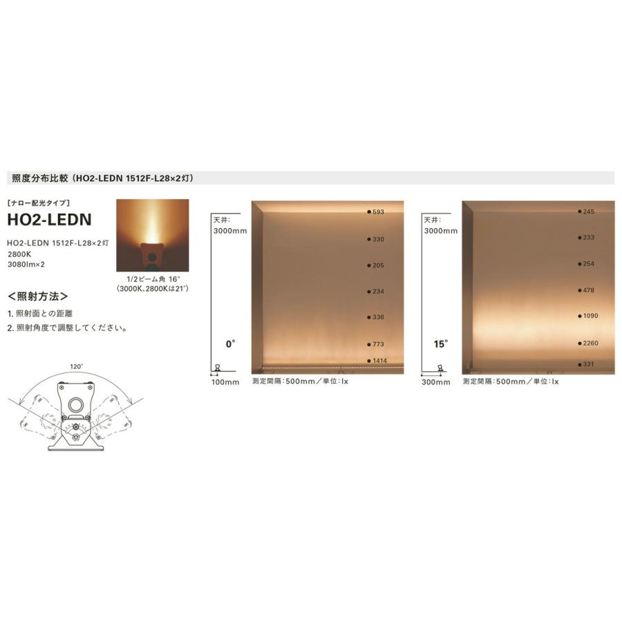 ＤＮライティング 屋外用LED照明器具 HO2-LEDN 光源一体型 電源内蔵 非調光 ナロー配光 IP65 1212mm 電球色 3000K HO2-LEDN1212F-L30 ※受注生産品の画像