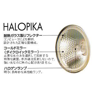 フェニックス　ダイクロハロゲン ハロピカ ＪＤＲ&phi;５０ １１０Ｖ １００Ｗ形 Ｅ１１口金 広角 【１０個入り】　JDR110V60WKW/5E11