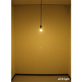 TOSHIBA（東芝） LED電球 ミニクリプトン形(小形電球形) 断熱材施工