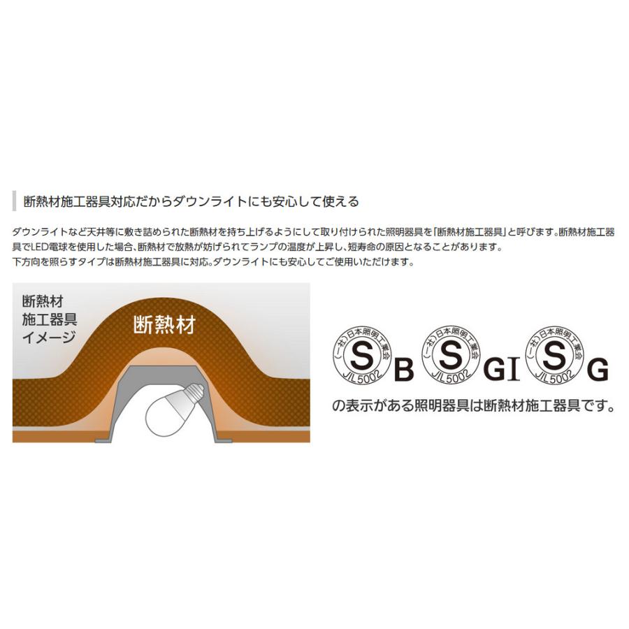 Panasonic（パナソニック） LED電球 一般電球タイプ 下方向を照らす