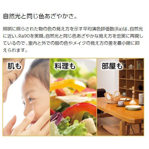 Panasonic（パナソニック） LED電球 プレミアX 小形電球タイプ 全方向