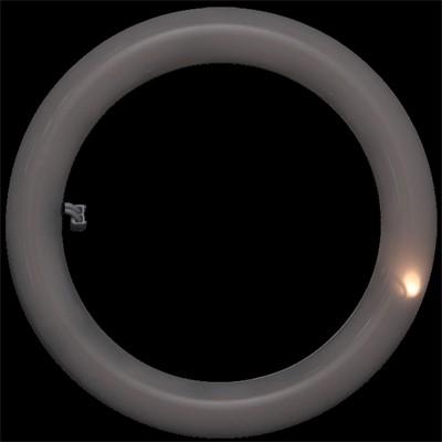 IRIS OHYAMA（アイリスオーヤマ） エコハイルクス 丸形LEDランプ（LED