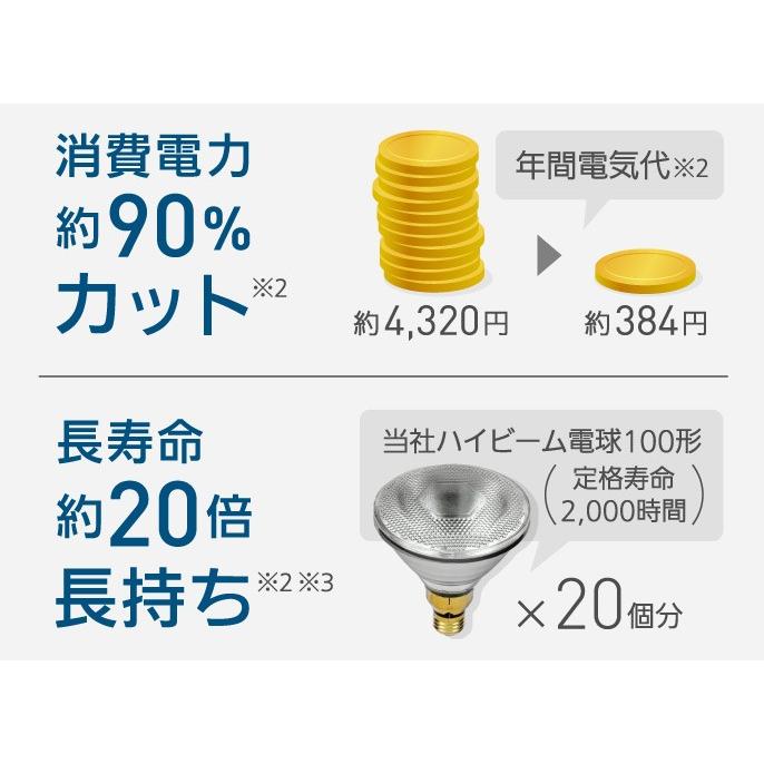 ハイビーム電球タイプ 屋内・屋外兼用 明るさ150形相当 昼白色相当 10.7W E26口金 490lm [2個入り]　LDR11N-W/HB15 A/2K 【ブラウン】