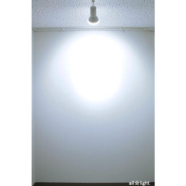 ELPA（エルパ） エルパボール LED電球 ビームランプタイプ 14.0W