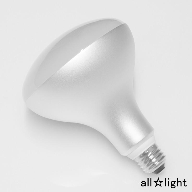 OHM（オーム電機） LED電球 レフランプ形 屋外・屋内兼用