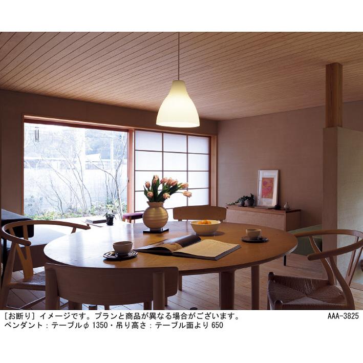 パナソニック ペンダントライト 引掛シーリング 100形電球1灯器具相当 LED電球一般電球タイプ1灯（E26） 電球色 （ランプ付） LGB15344の画像