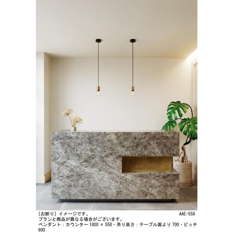 Panasonic（パナソニック） ペンダントライト 直付タイプ 25形電球1灯