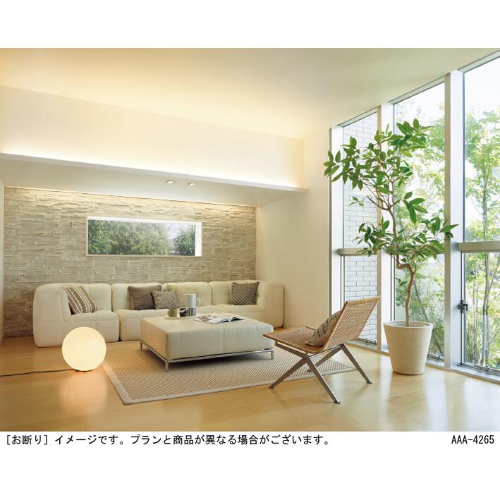 Panasonic（パナソニック） ベーシックライン照明ハイパワー 拡散