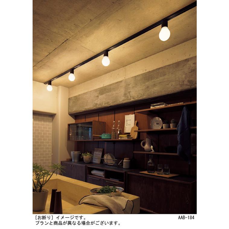 パナソニック 小型シーリングライト 配線ダクトレール用 60形電球1灯器具相当 電球色 (ランプ付き) LGB54368WCE1の画像