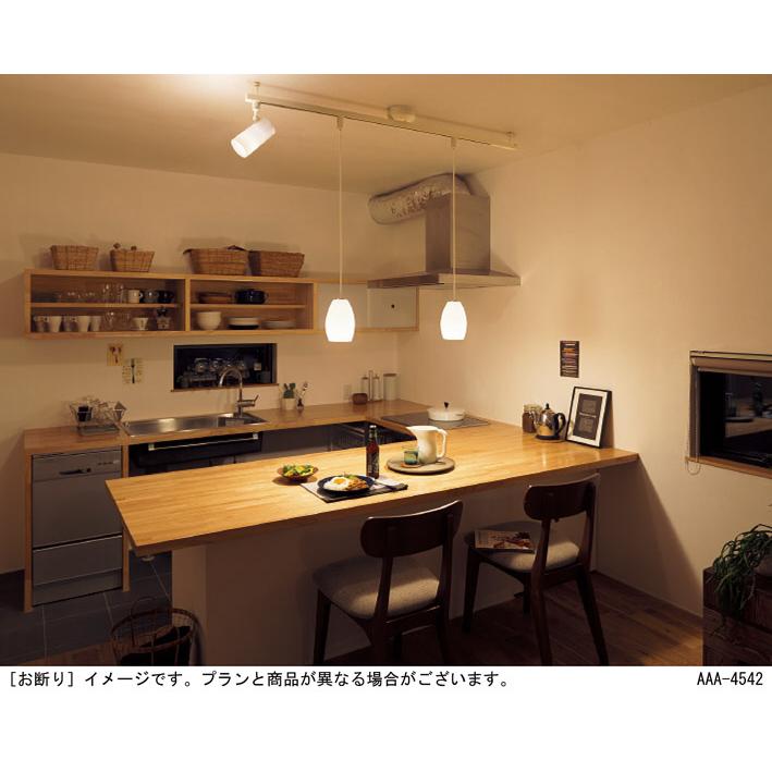Panasonic（パナソニック） ペンダントライト 配線ダクトレール用 40形