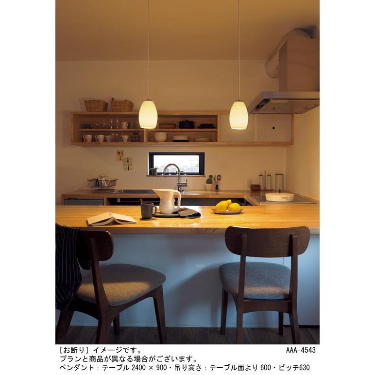 Panasonic（パナソニック） ペンダントライト 配線ダクトレール用 40形