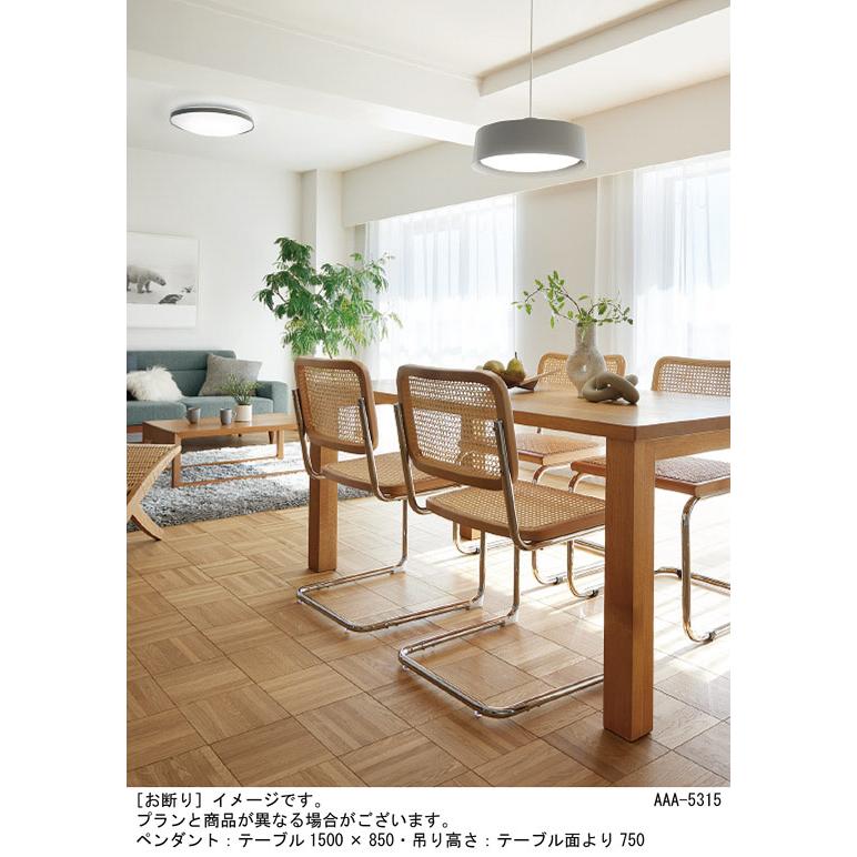 Panasonic（パナソニック） 天井吊下型 LED（昼光色・電球色