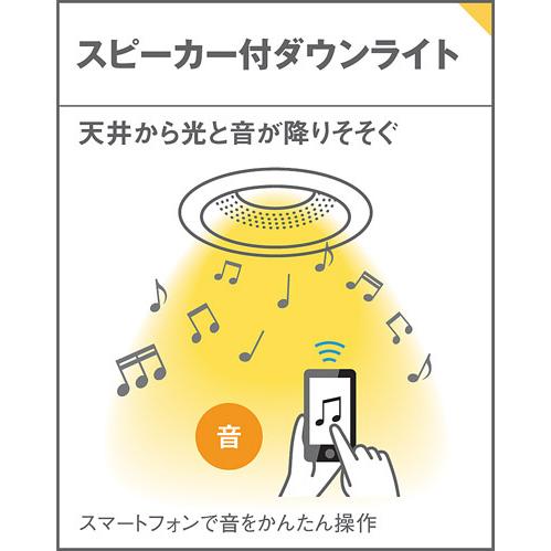パナソニック ダウンライト 高気密SB形 スピーカー付 埋込穴φ100mm 100形電球1灯相当 昼白色 LED内蔵 LGD3118NLB1の画像
