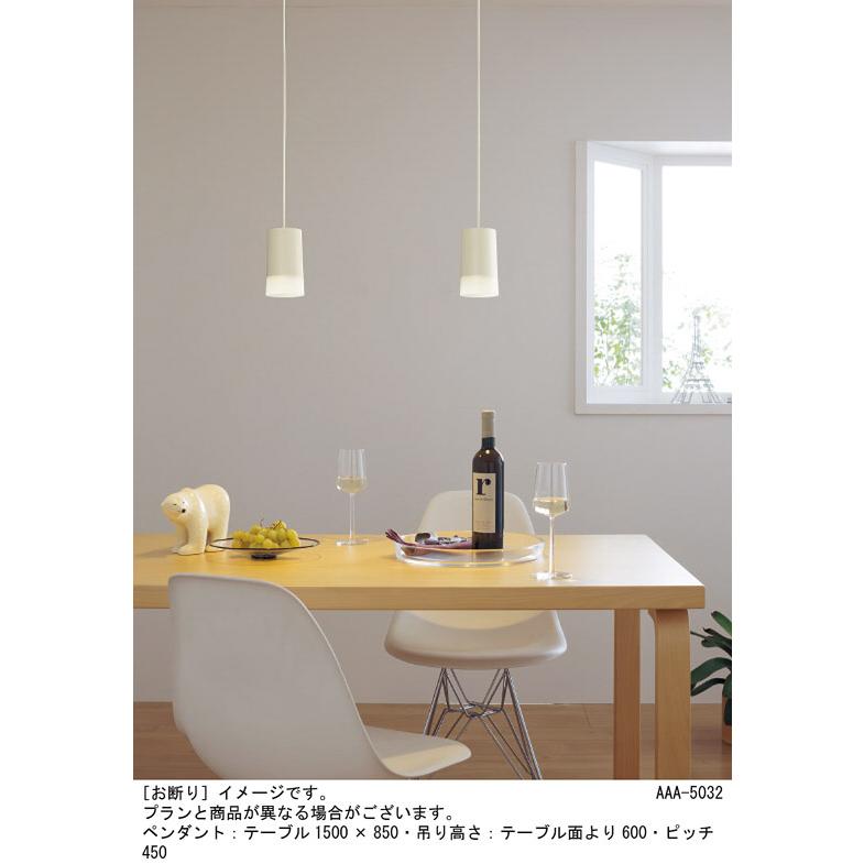Panasonic パナソニック ペンダントライト 引掛シーリング 60形