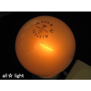 東芝　ホワイトランプ（一般電球）　１１０Ｖ　２０Ｗ形　Ｅ２６口金　ワットブライター　LW110V18W｜alllight｜03