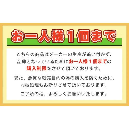 ODELIC（オーデリック） シーリングファン用 付属リモコン 2007年10月