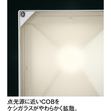 ODELIC - ＯＤＥＬＩＣ エクステリアライト 注目の的 直付 白熱電球色 LED一体型 OG254680