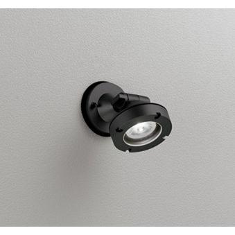 中国美術 清代 根付 唐物 古美術品 細密細工 骨董