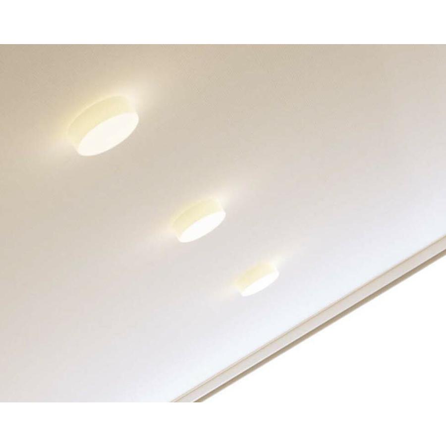 ODELIC（オーデリック） 小型シーリングライト 直付 昼白色 LED一体型