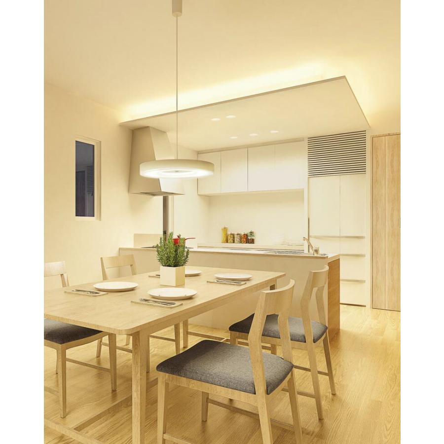 ODELIC（オーデリック） 室内用間接照明 LED一体型 電球色 ランプ長