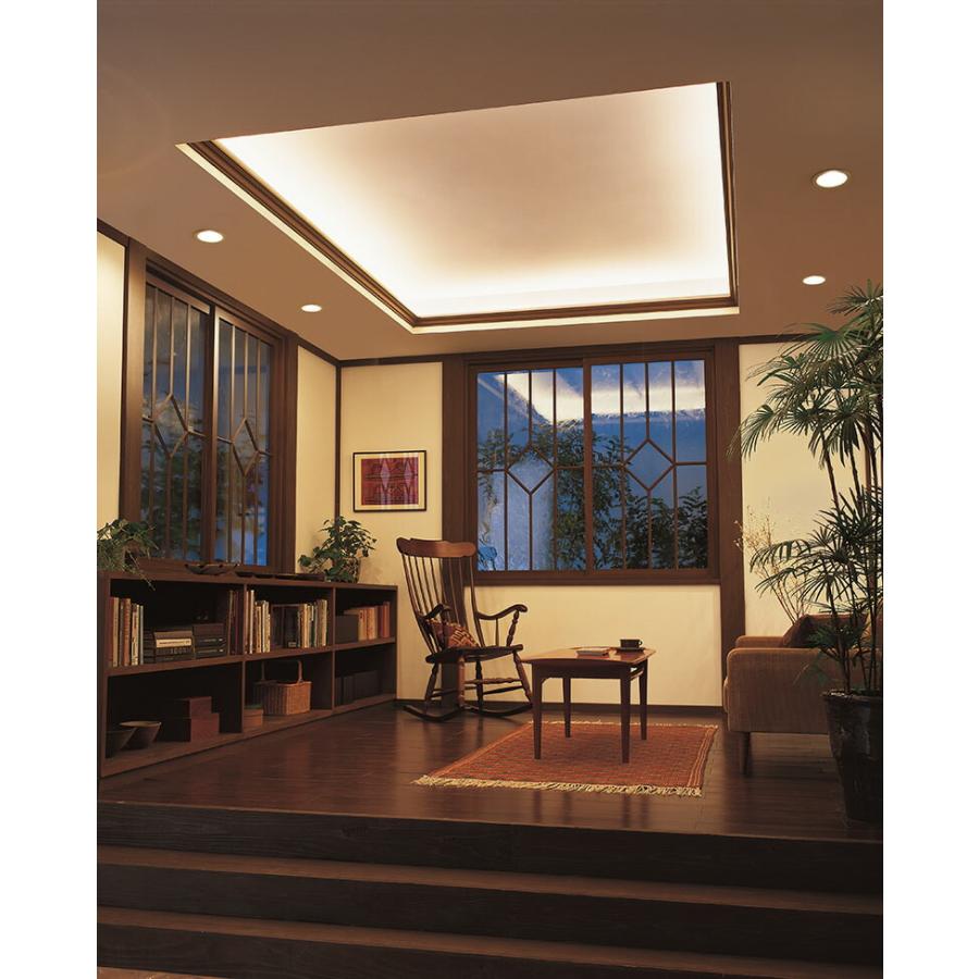 ＯＤＥＬＩＣ 室内用間接照明 LED一体型 温白色 ランプ長900mm