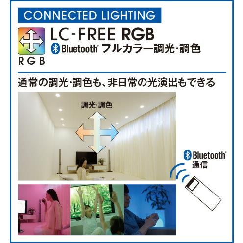 ODELIC（オーデリック） スポットライト 配線ダクトレール 電球色