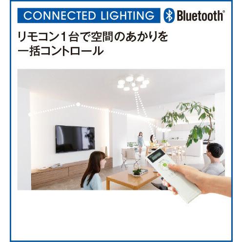 ODELIC（オーデリック） スポットライト 配線ダクトレール 電球色