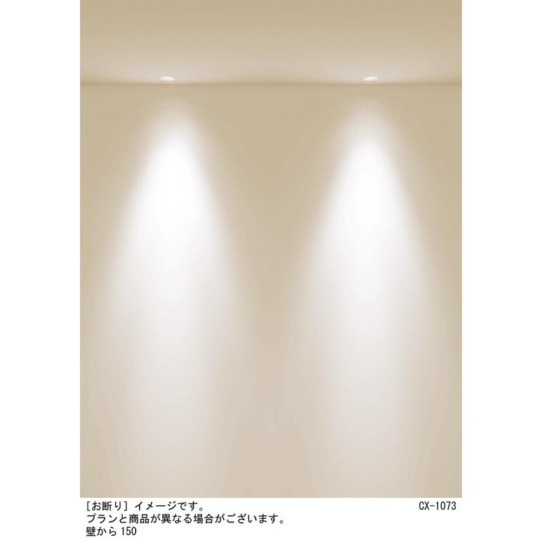 Panasonic（パナソニック） ダウンライト 電球色 美ルック・集光 調光