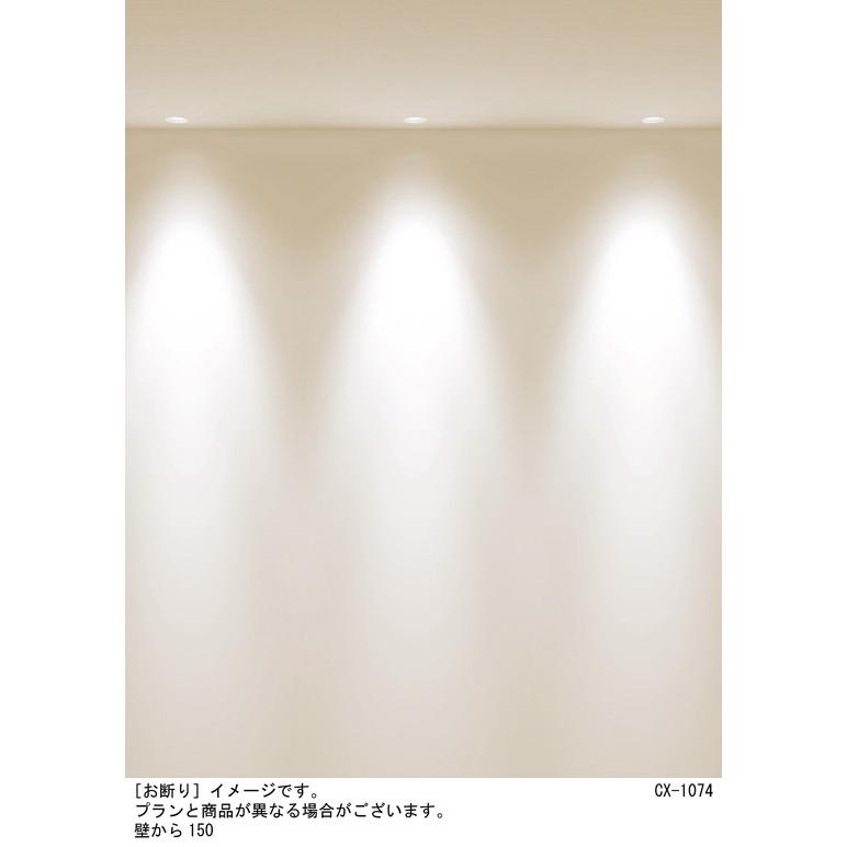 Panasonic（パナソニック） ダウンライト 電球色 美ルック・集光 調光