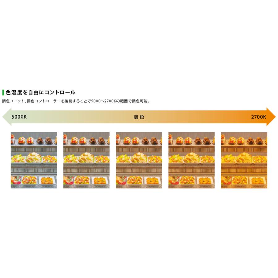 プリンス　LED棚照明器具 ディーライン 冷ケース用照明 TLシリーズ Tタイプ 全長4840mm 調色LED 昼白色-電球色 5000K-2700K　TLT4840NL/24AK-WP ※受注生産品