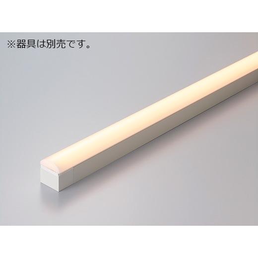DNライティング - ＤＮ書き込み TRIM LINE 取り替えっこ用LEDモデュール 間接的な行動ともし火 TM D 全長998粍 温白いこと TM1000WWD ※受注生み出すこと品 その他照明器具-家具、インテリア