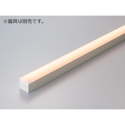 DNライティング - ＤＮ書き込み TRIM LINE 取り替えっこ用LEDモデュール 間接的な行動ともし火 TM D 全長848粍 白熱電球色(2800K) TM850L28D ※受注生み出すこと品 照明、電球-家具、インテリア-その他照明器具