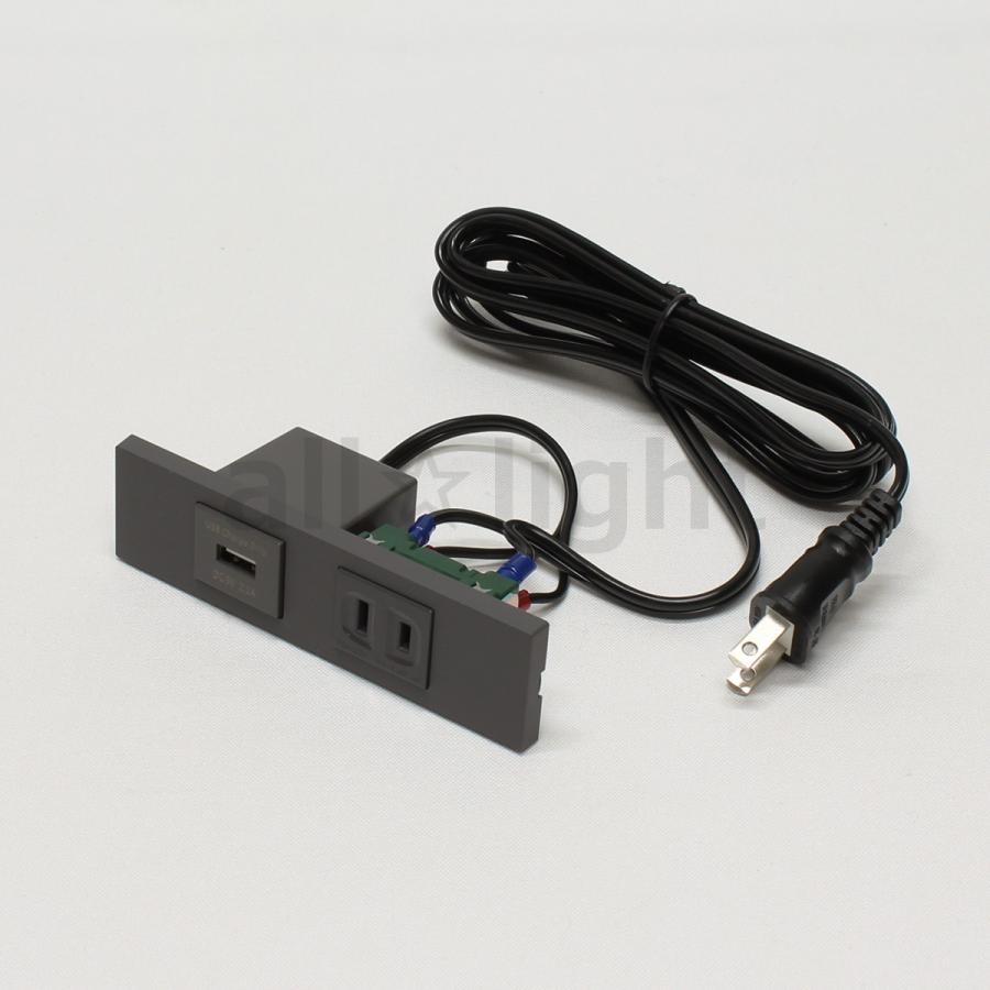 テクノパーツ 家具用コンセント USB付きコンセント(USB1口、コンセント