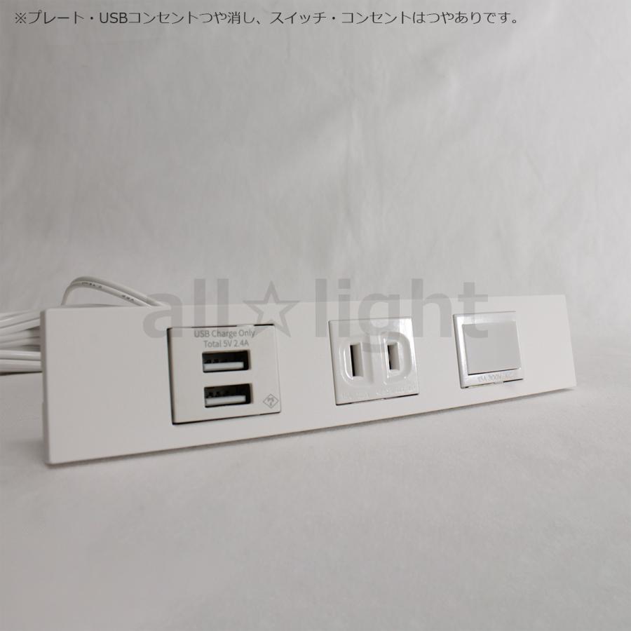 テクノパーツ 家具用コンセント USB付きコンセント(USB2口、コンセント