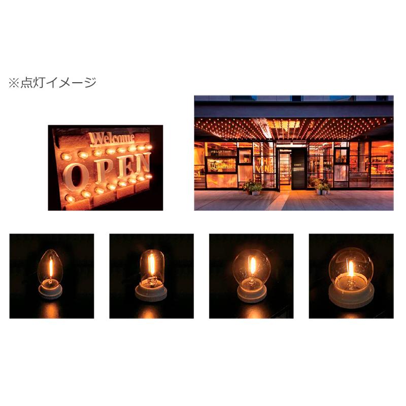 TOZAI フィラメント形ミニ装飾用 AC110V 防水 ボール電球