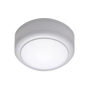 東芝 LED照明器具 LED防水ブラケット器具 白熱灯器具60W相当 昼白色 天井・壁面兼用 LED一体型 防湿形 F級低温環境対応(−40