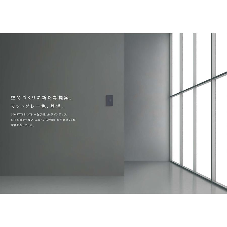 Panasonic（パナソニック） SO-STYLE配線器具(ソースタイル) 埋込逆