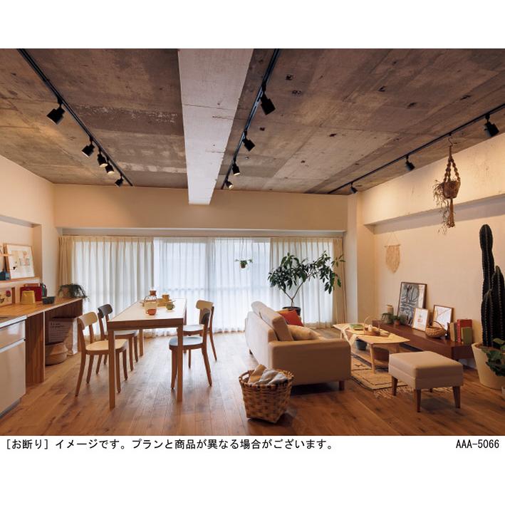 パナソニック スポットライト 配線ダクトレール(天井付・壁付)用 電球色 60形電球1灯器具相当 (ランプ付) XAS1503LCB1(LGS9503+LLD2000LCB1)の画像