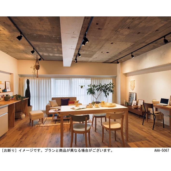 パナソニック スポットライト 配線ダクトレール(天井付・壁付)用 美ルック 電球色 60形電球1灯器具相当 (ランプ付) XAS1513LCE1(LGS9503+LLD2000MLCE1)の画像