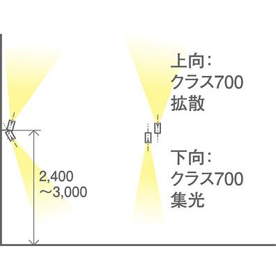 パナソニック スポットライト 直付 美ルック 電球色 100形電球2灯器具相当 (ランプ付) XAS3392LCB1(LGS9302+LLD3020MLCB1+LLD4000MLCB1)の画像