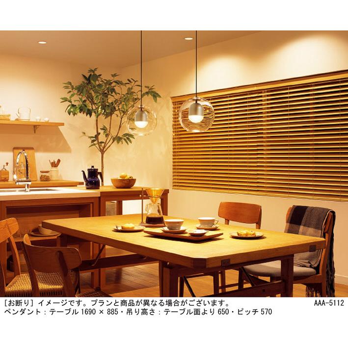 パナソニック ペンダントライト 天井半埋込吊下型 60形電球1灯器具相当