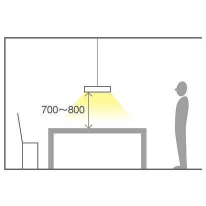 Panasonic パナソニック 天井半埋込吊下型 電球色 ペンダント